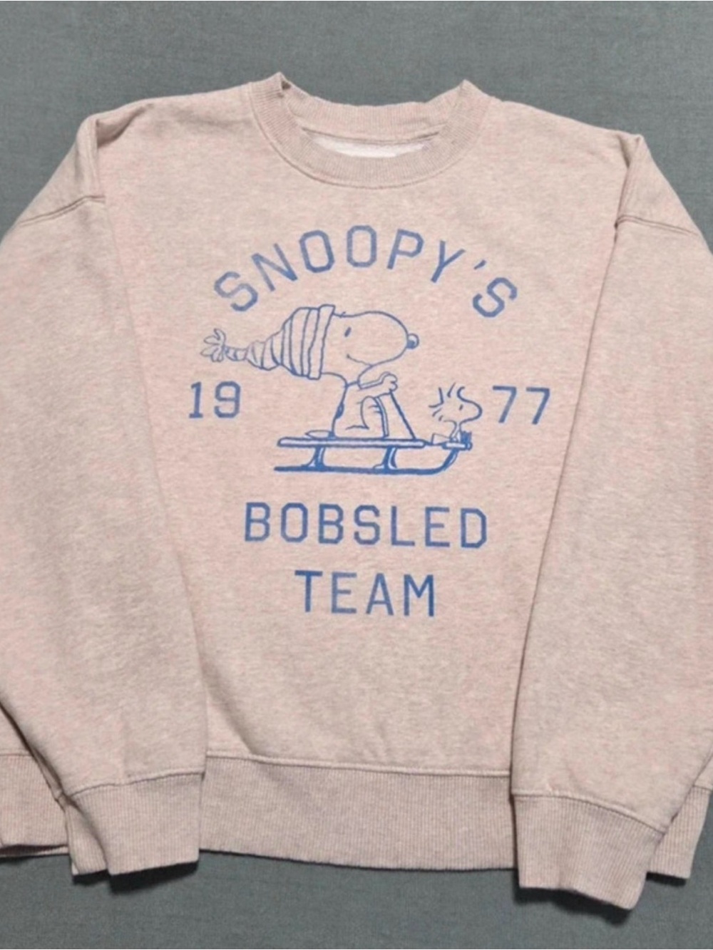American Eagle Outfitters Grey Crewneck with Blue Snoopy Graphic Peanuts